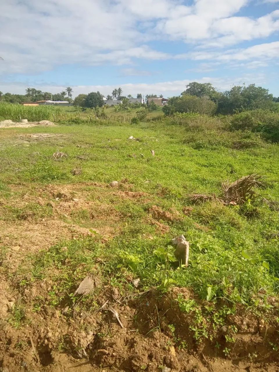 Terreno míni chácara  - Foto 4
