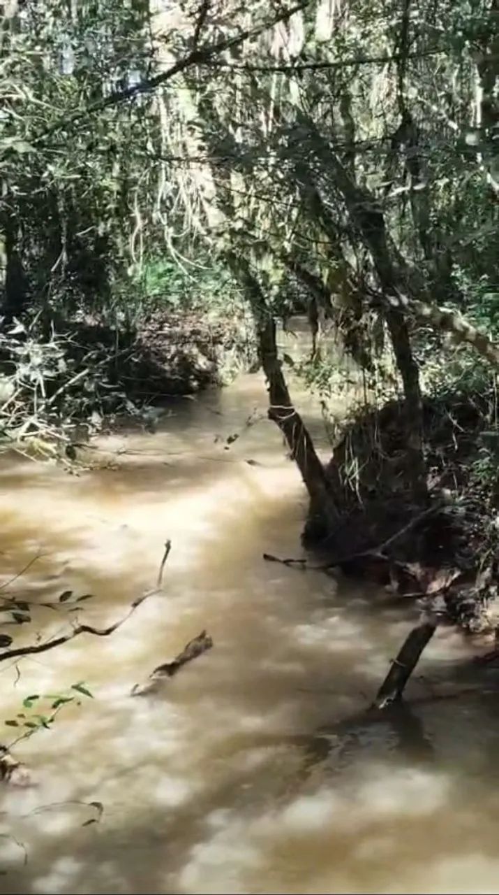 Área a venda 48.400m² - Foto 3