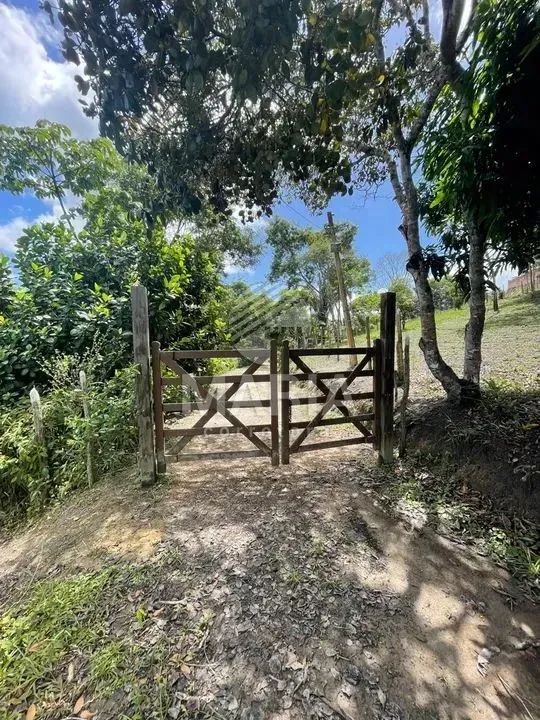 Sítio com 2.1 Hectares em Gravatá/PE! - Foto 2