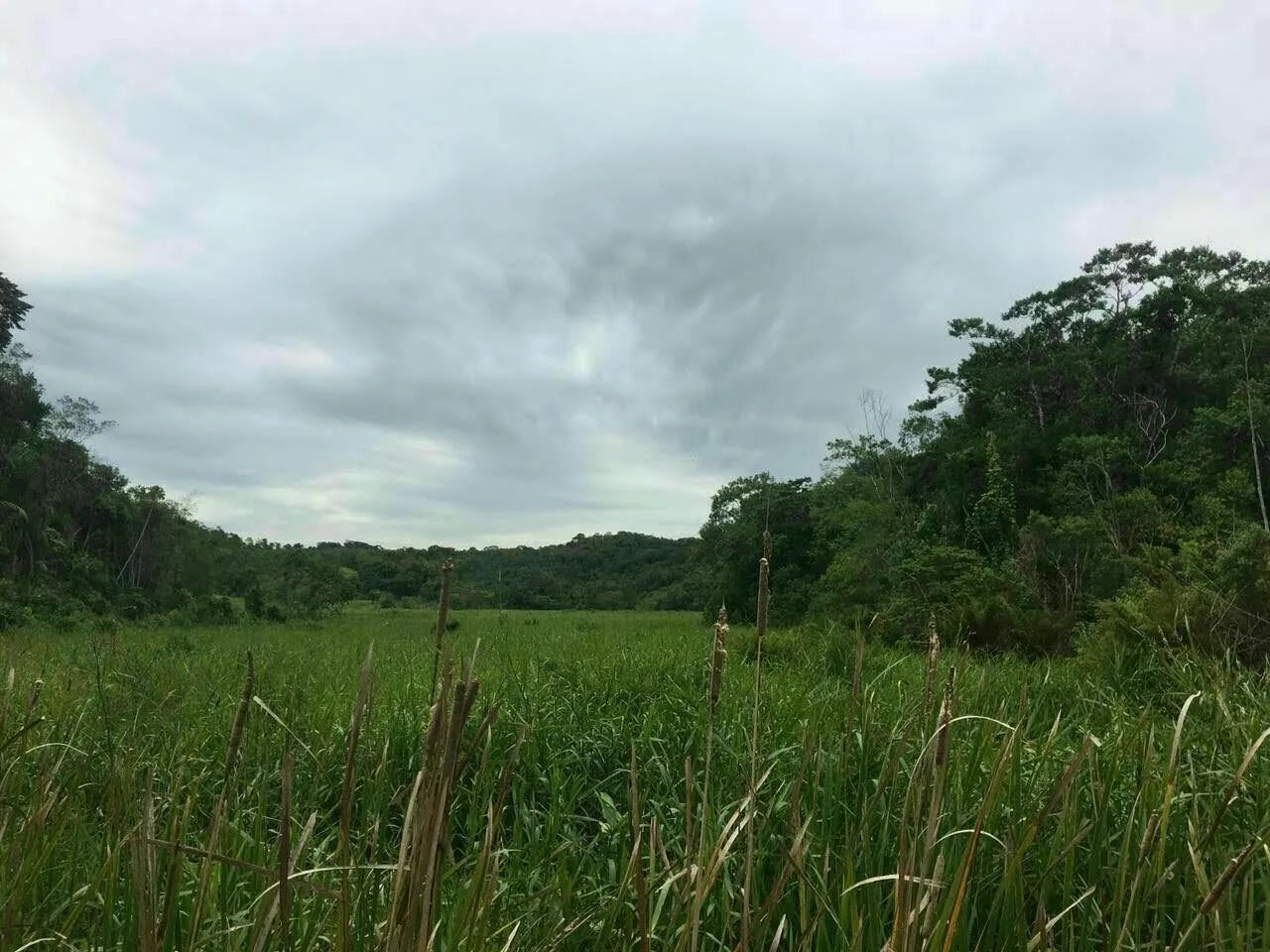 Vende ou Troca  - Foto 2