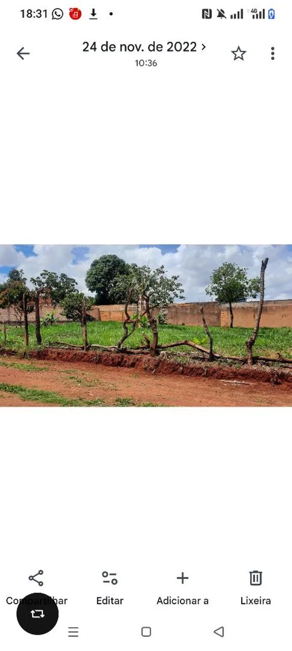 Ágil de lote grande luziania - Foto 2