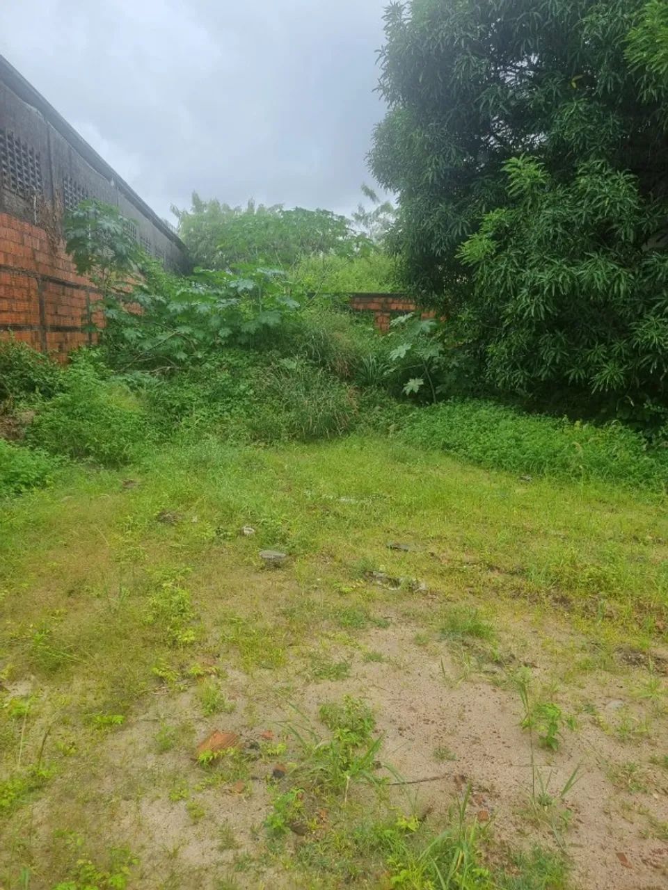 Excelente terreno na Av Dr Silas Munguba 1.892m2 - Foto 4
