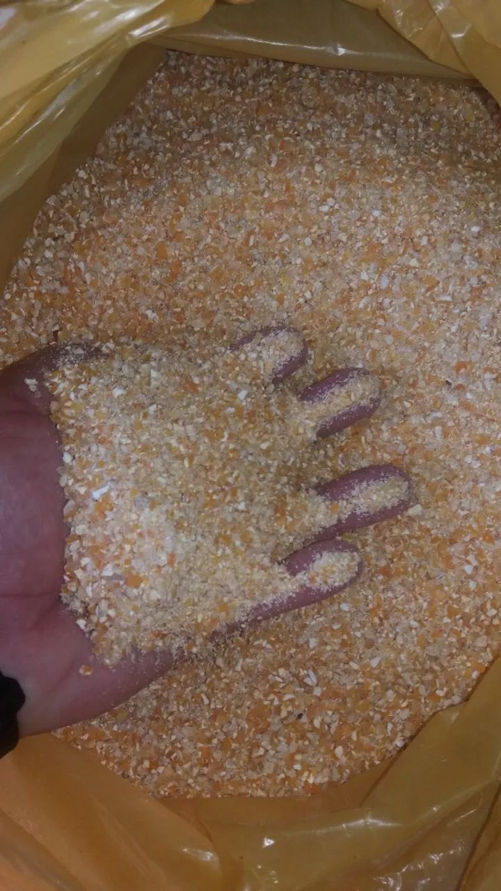 MILHO E PRODUTOS AGRÍCOLAS - Foto 2