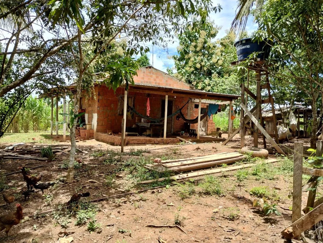Sítio 15 hectares no ponto de escriturar - Foto 4