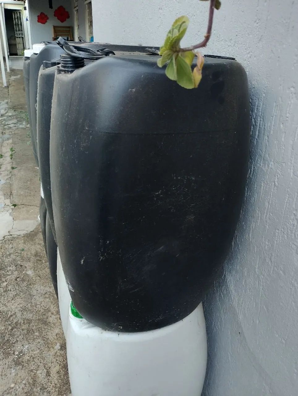 Desapega barril de 50 litros 20$ cada 