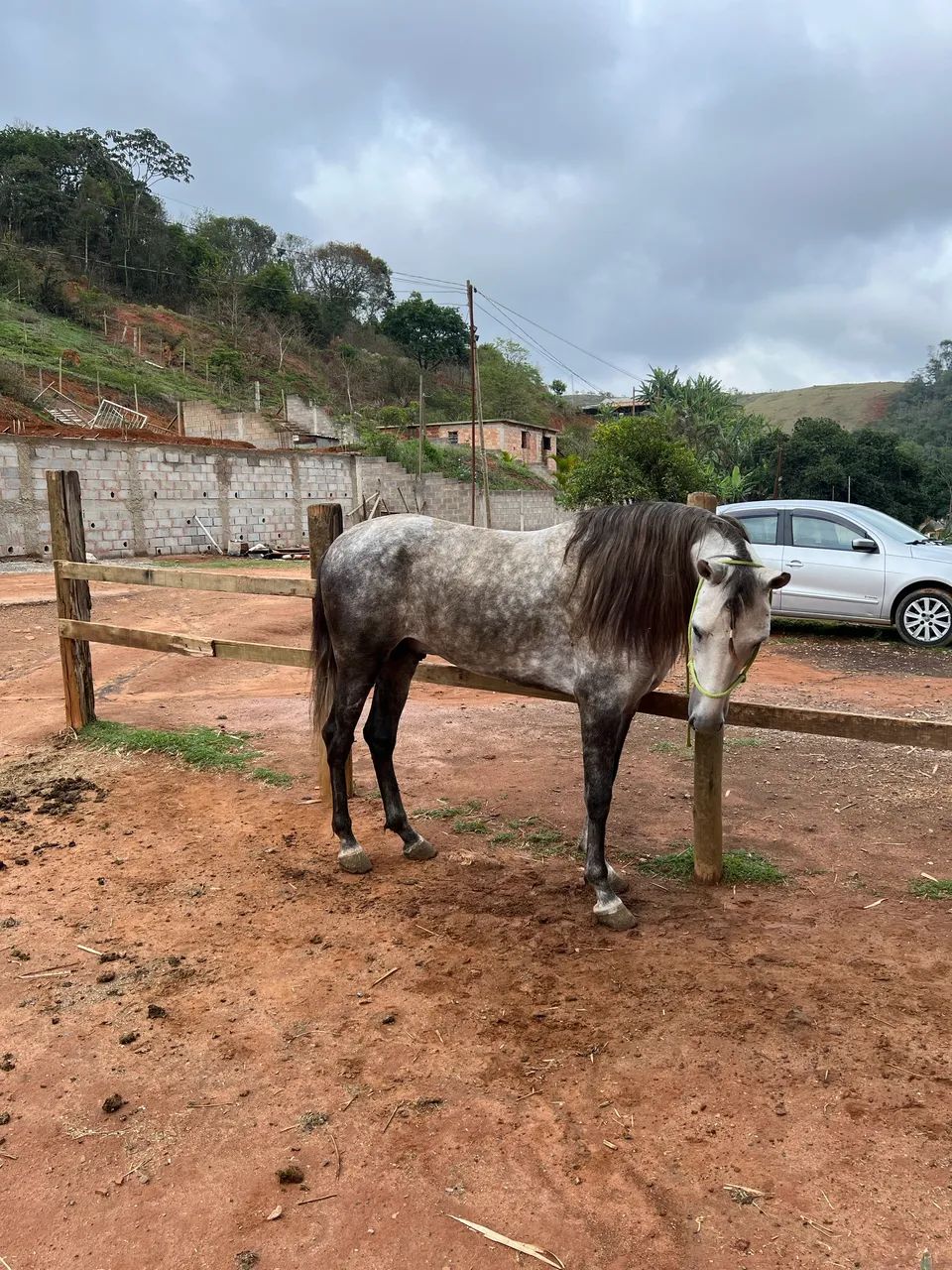 Vende-se cavalo MM - Foto 2