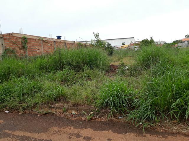 Loteamento Residencial Setor Cristina ( Trindade) - Foto 5