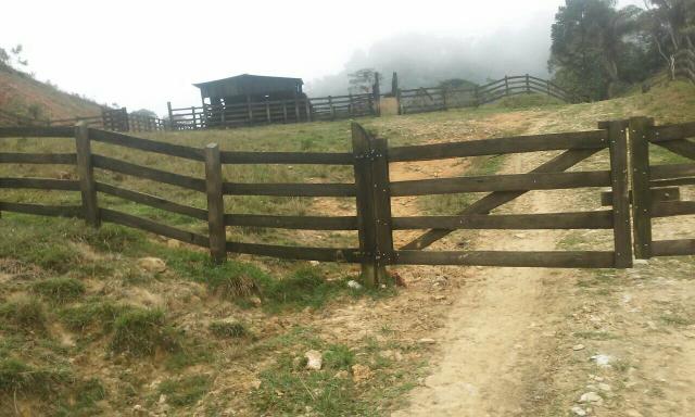 Fazenda 300 mts da BR 116 - Foto 6