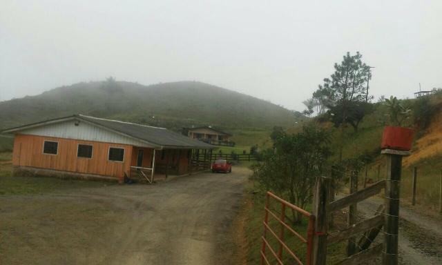 Fazenda 300 mts da BR 116 - Foto 3