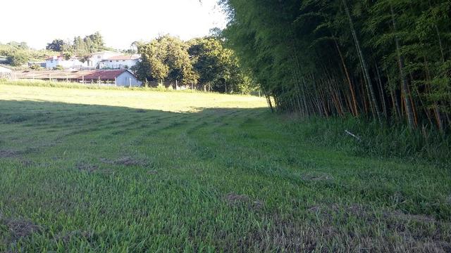 Terreno Rural para venda em Condomínio Fechado em Araucária - Foto 3