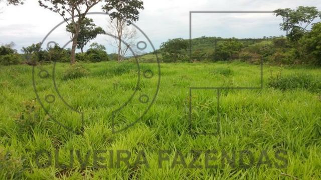 990 hectares Aquidauana MS - Foto 4