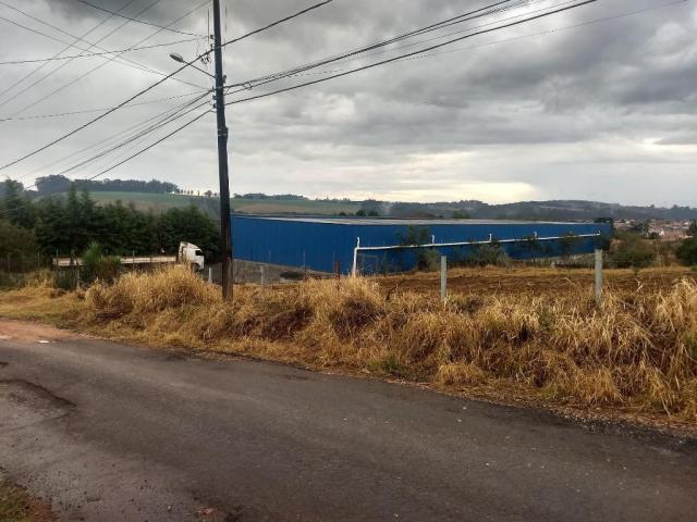 Galpão à venda, 2279 m² por r$ 1.566.950,00 - contorno - ponta grossa/pr