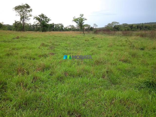 FAZENDA À VENDA - 55 HECTARES - REGIÃO DE PITANGUI (MG) - Foto 6