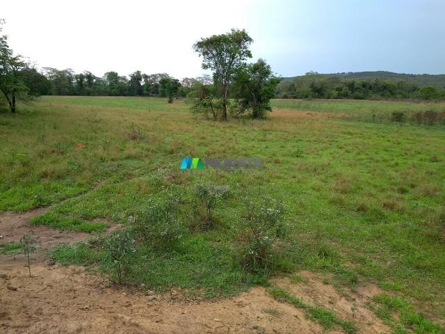 FAZENDA À VENDA - 55 HECTARES - REGIÃO DE PITANGUI (MG) - Foto 9