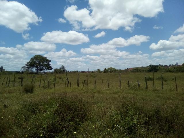 Vendo ou troco terreno / sítio em Alagoinhas Bahia - Foto 3