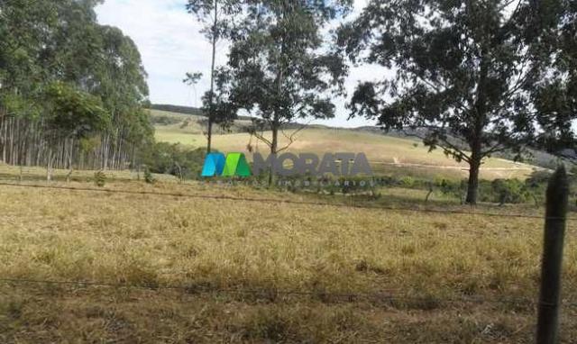 Fazenda pecuária - 220 hectares - belo vale (mg) - Foto 3