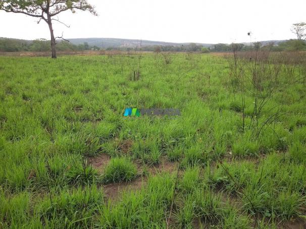 FAZENDA À VENDA - 55 HECTARES - REGIÃO DE PITANGUI (MG) - Foto 12