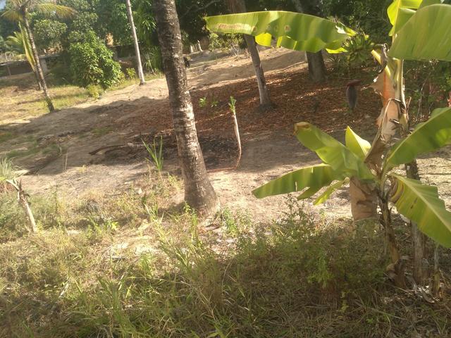 Vendo um sitio - Foto 5