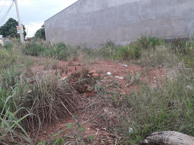 Lote