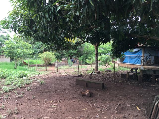Chácara em Bela Vista de Goiás com casa - Foto 16