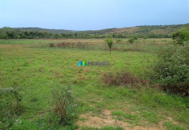 FAZENDA À VENDA - 55 HECTARES - REGIÃO DE PITANGUI (MG) - Foto 7
