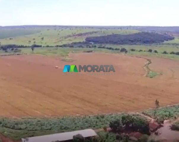 FAZENDA À VENDA – 300 HECTARES – REGIÃO DE PARÁ DE MINAS (MG) - Foto 3