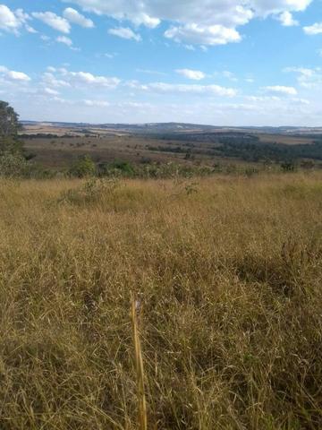 Fazenda em Silvânia - Foto 7