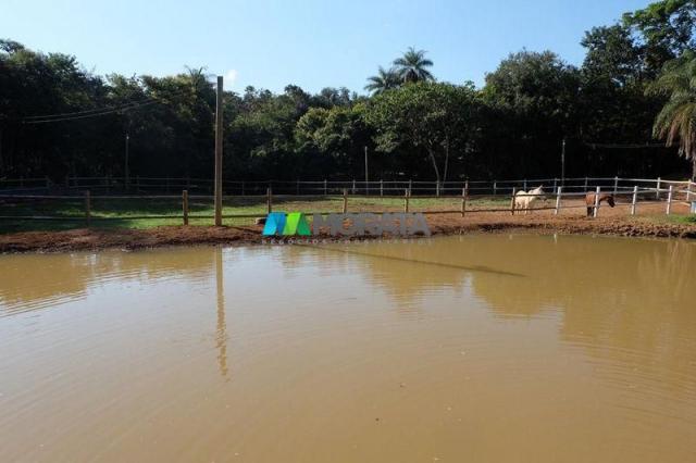 Fazenda haras - 63.000 m2 - região lagoa santa (mg) - Foto 2