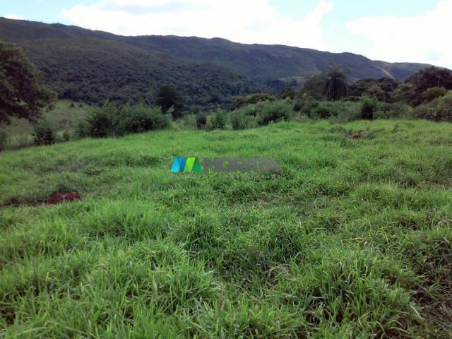 FAZENDA - 122,80 hectares - PEQUI (MG) - Foto 13