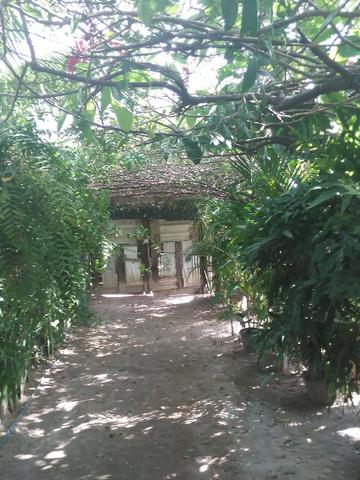 Sítio São Jorge - Foto 10
