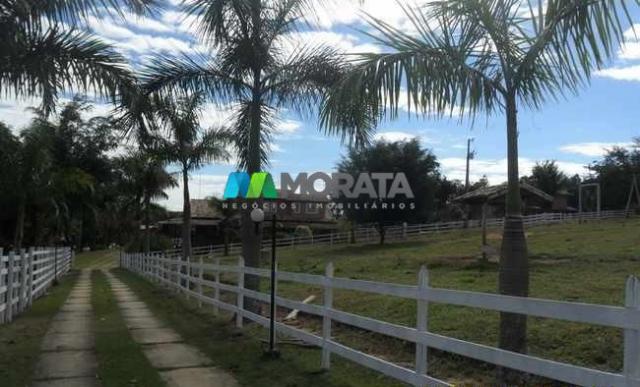 Fazenda pecuária - 220 hectares - belo vale (mg) - Foto 12