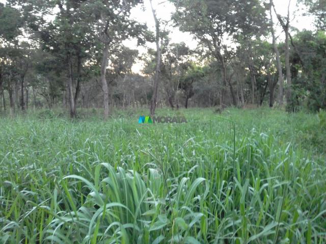 FAZENDINHA À VENDA - 2,5 HECTARES - PEQUI (MG) - Foto 14