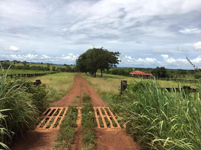 Fazenda