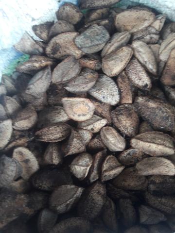 Vendo castanha - Foto 2