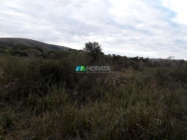 Fazendinha - 08 hectares - paraopeba (mg) - Foto 15