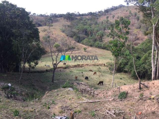 Fazenda à venda - 97 hectares - itabirito (mg) - Foto 3
