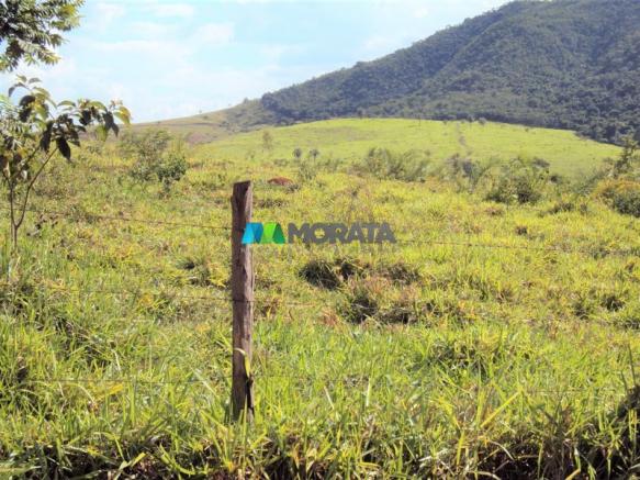 FAZENDA - 334 hectares - PARÁ DE MINAS (MG) - Foto 16