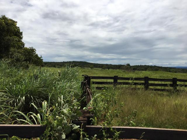 Fazenda - Foto 5