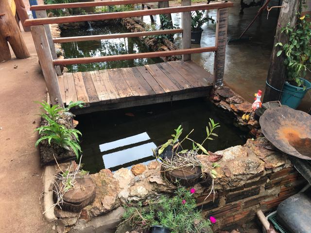 Chácara em Bela Vista de Goiás com casa - Foto 2