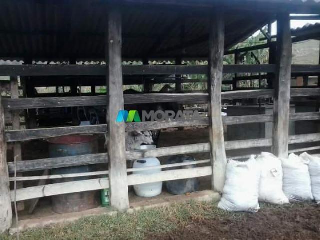 Fazenda - 59 hectares - bonfim (mg) - Foto 16