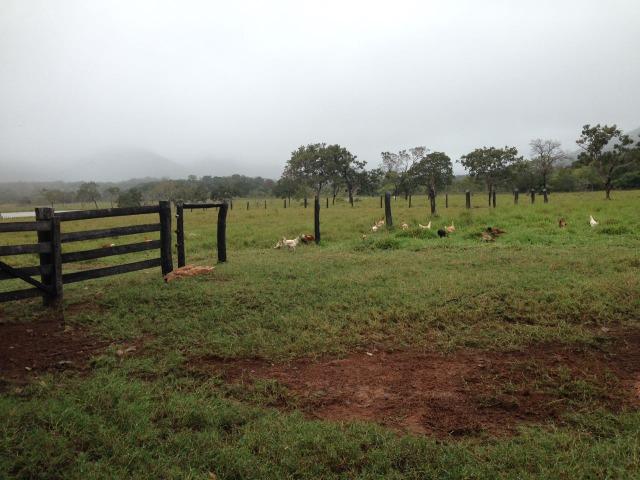 Fazenda - 1100 Hectares - Cáceres/MT - Foto 9