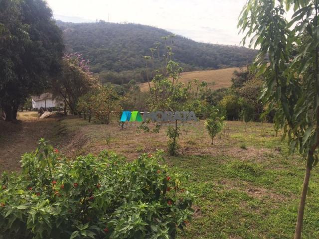 Fazenda à venda - 97 hectares - itabirito (mg) - Foto 9