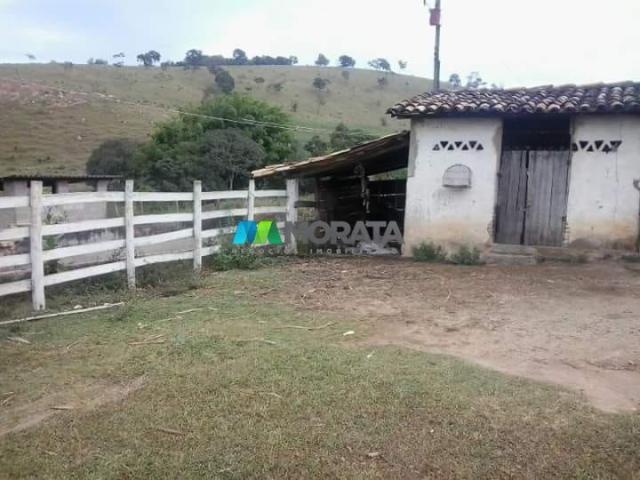 Fazenda - 59 hectares - bonfim (mg) - Foto 14