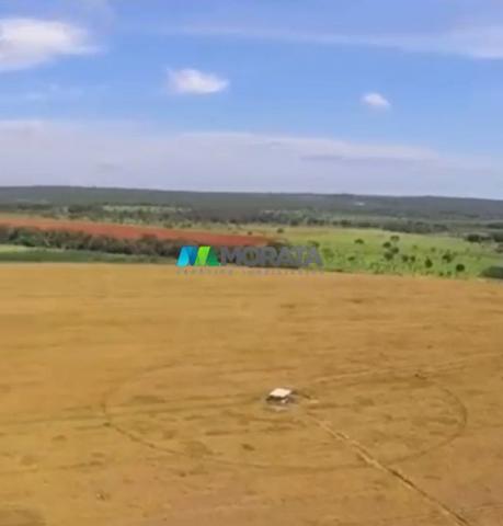 FAZENDA À VENDA – 300 HECTARES – REGIÃO DE PARÁ DE MINAS (MG) - Foto 6