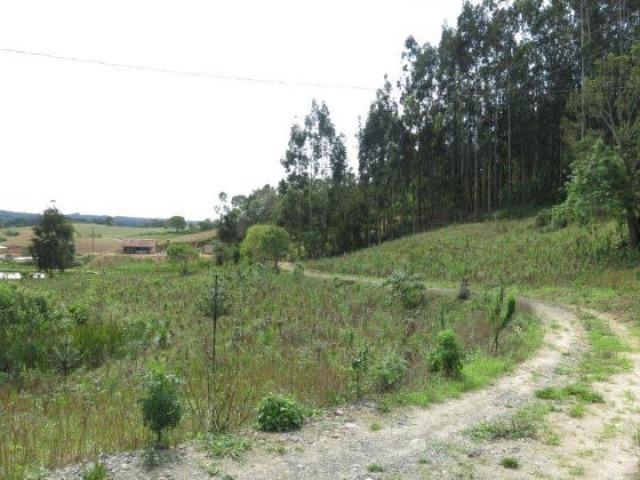 Chácara para Venda, 71.959,20 m², Piên / PR, bairro Poço Frio, 3 dormitórios - Foto 3
