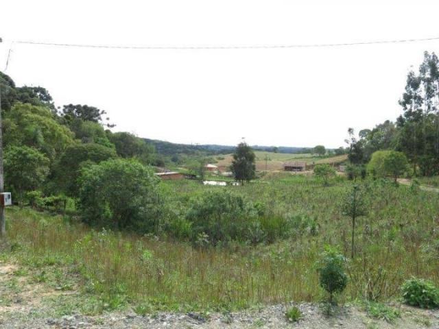 Chácara para Venda, 71.959,20 m², Piên / PR, bairro Poço Frio, 3 dormitórios - Foto 5