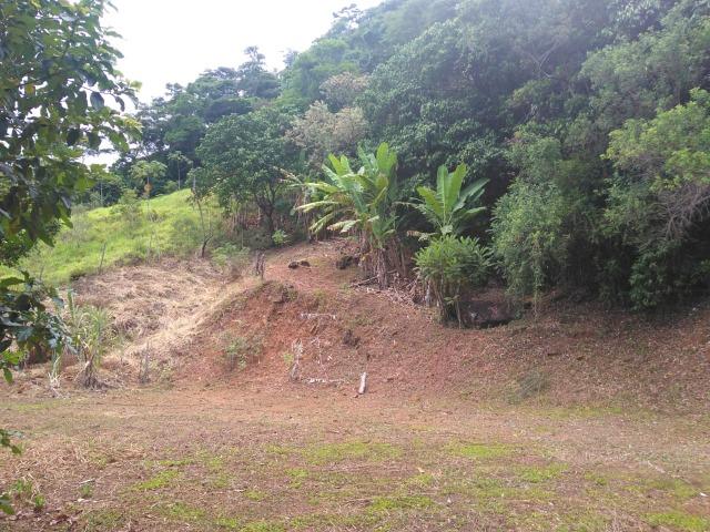 Sítio 40.000m2 em Casimiro de Abreu - Foto 9