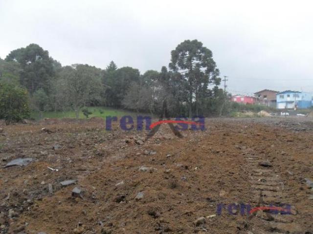 Terreno em caxias do sul - Foto 3
