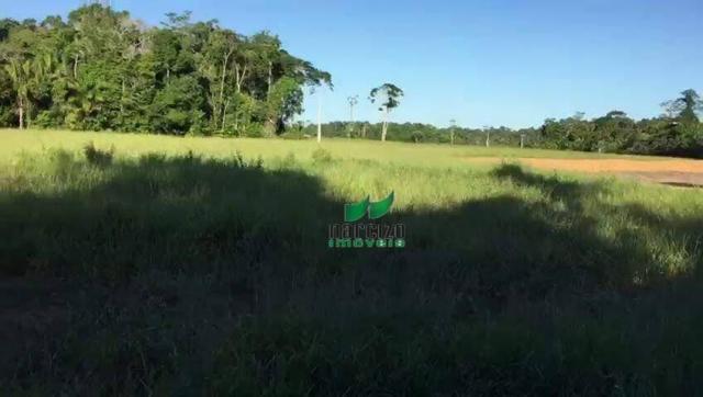 Fazenda rural à venda, belmonite, belmonte. - Foto 17