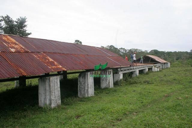 Fazenda rural à venda, são francisco, ilhéus. - Foto 20